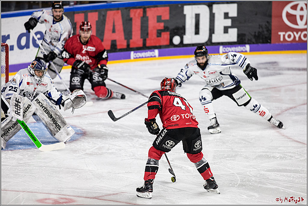 DEL, Koelner Haie - Straubing Tigers, 30.01.2018