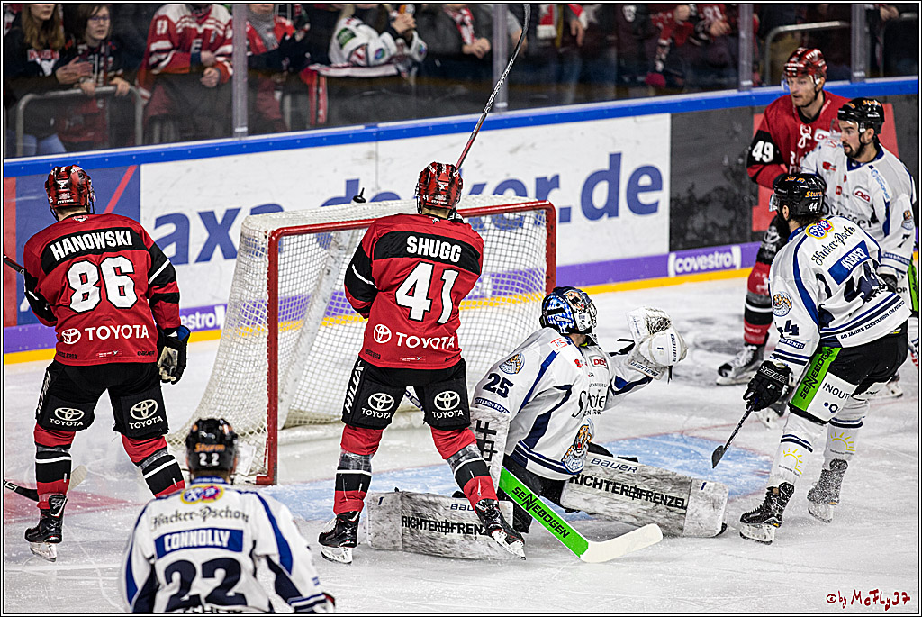 DEL, Koelner Haie - Straubing Tigers, 30.01.2018
