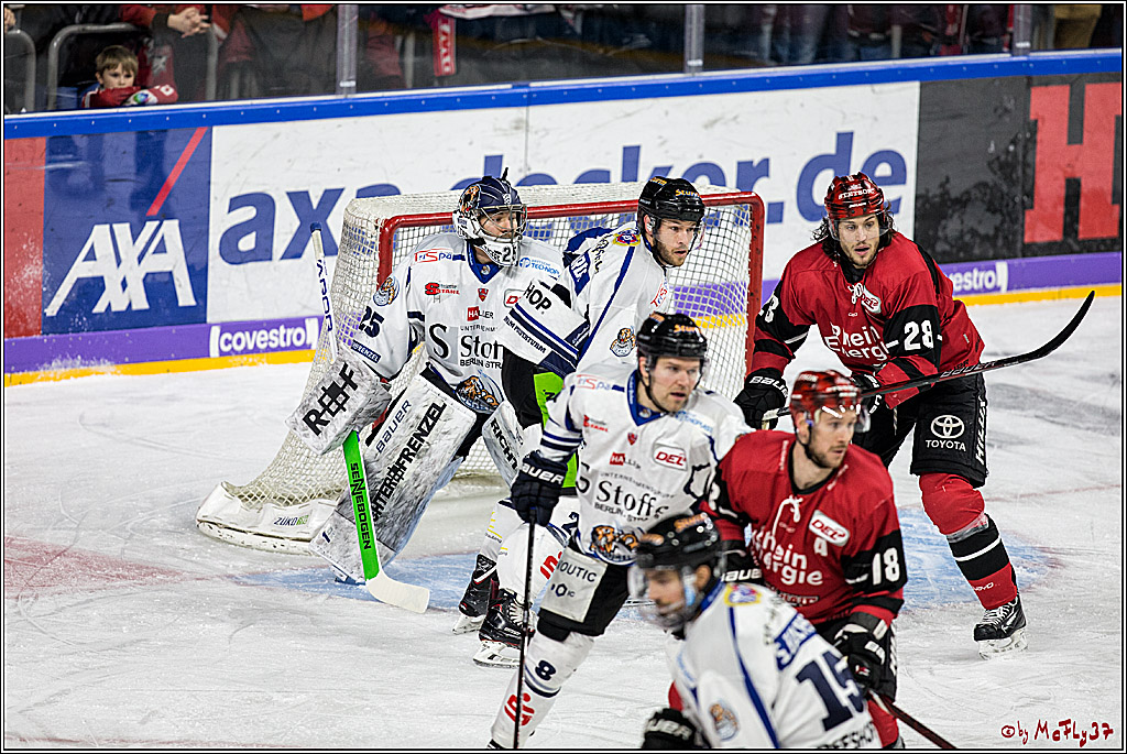 DEL, Koelner Haie - Straubing Tigers, 30.01.2018