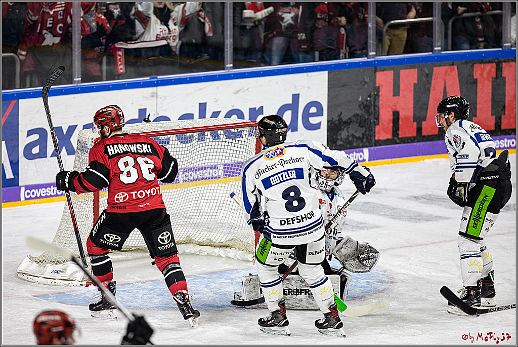 DEL, Koelner Haie - Straubing Tigers, 30.01.2018