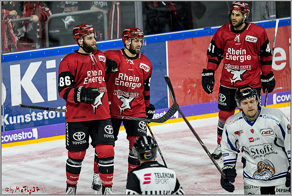 DEL, Koelner Haie - Straubing Tigers, 30.01.2018