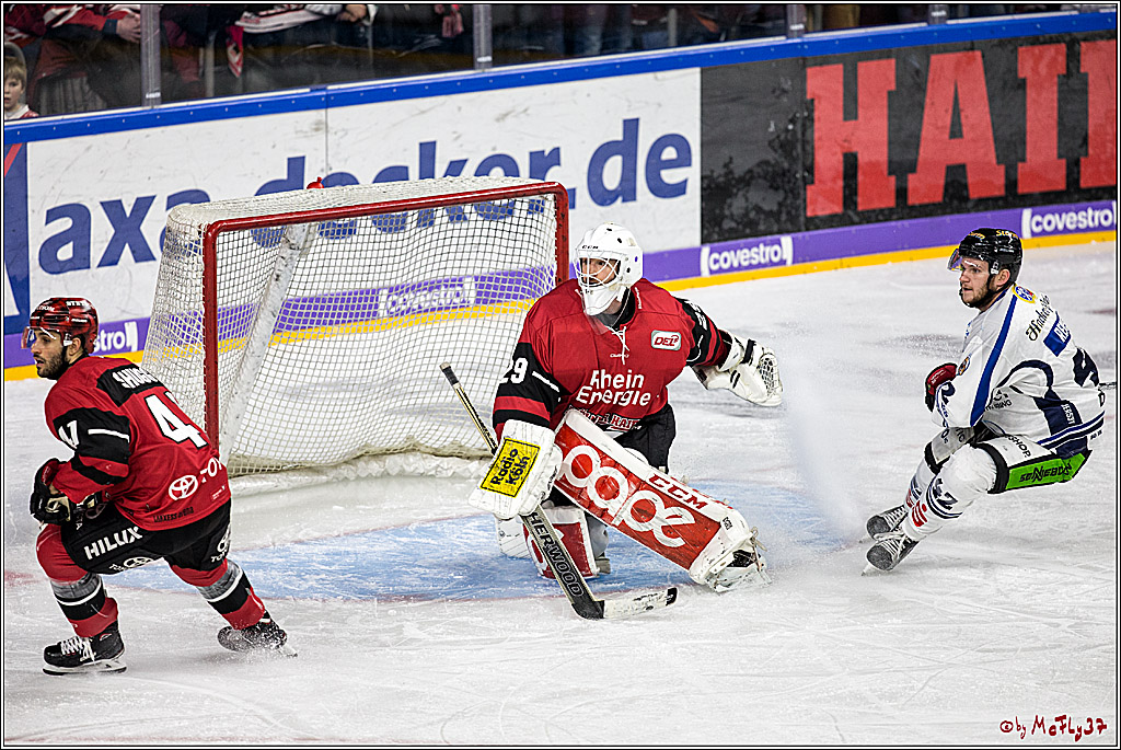 DEL, Koelner Haie - Straubing Tigers, 30.01.2018