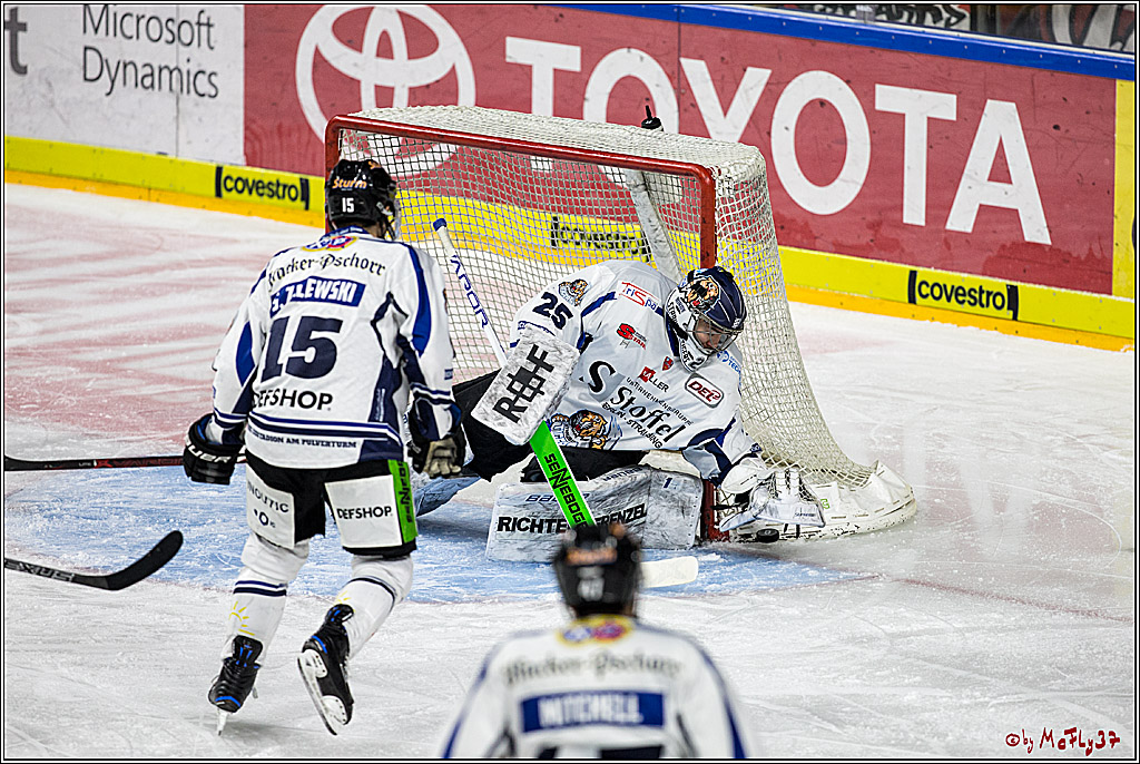DEL, Koelner Haie - Straubing Tigers, 30.01.2018