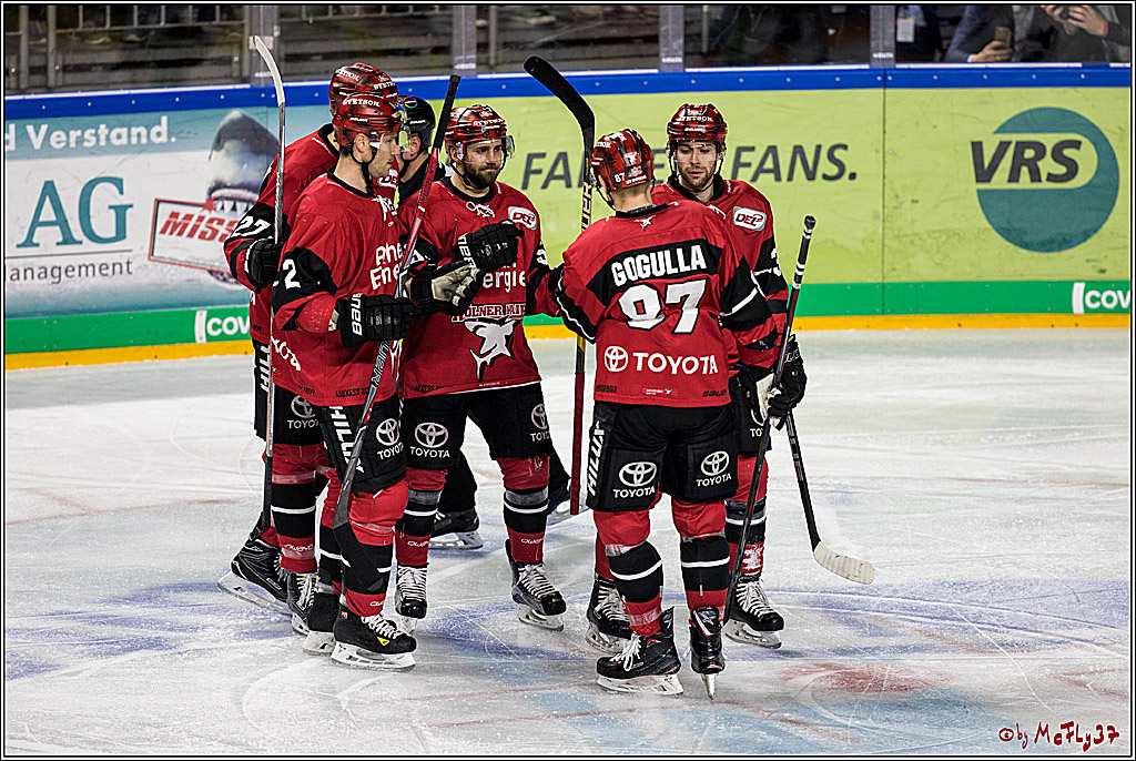 DEL, Koelner Haie - Straubing Tigers, 30.01.2018