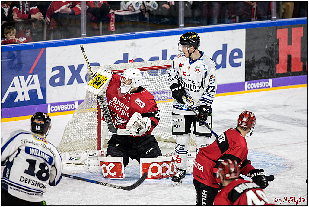 DEL, Koelner Haie - Straubing Tigers, 30.01.2018