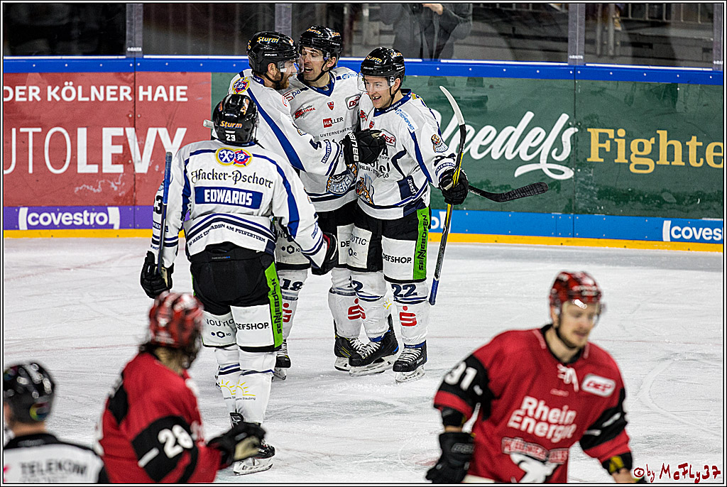 DEL, Koelner Haie - Straubing Tigers, 30.01.2018