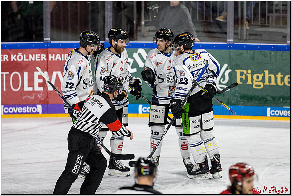 DEL, Koelner Haie - Straubing Tigers, 30.01.2018