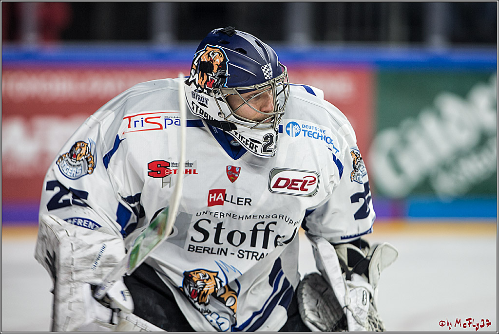 DEL, Koelner Haie - Straubing Tigers, 30.01.2018