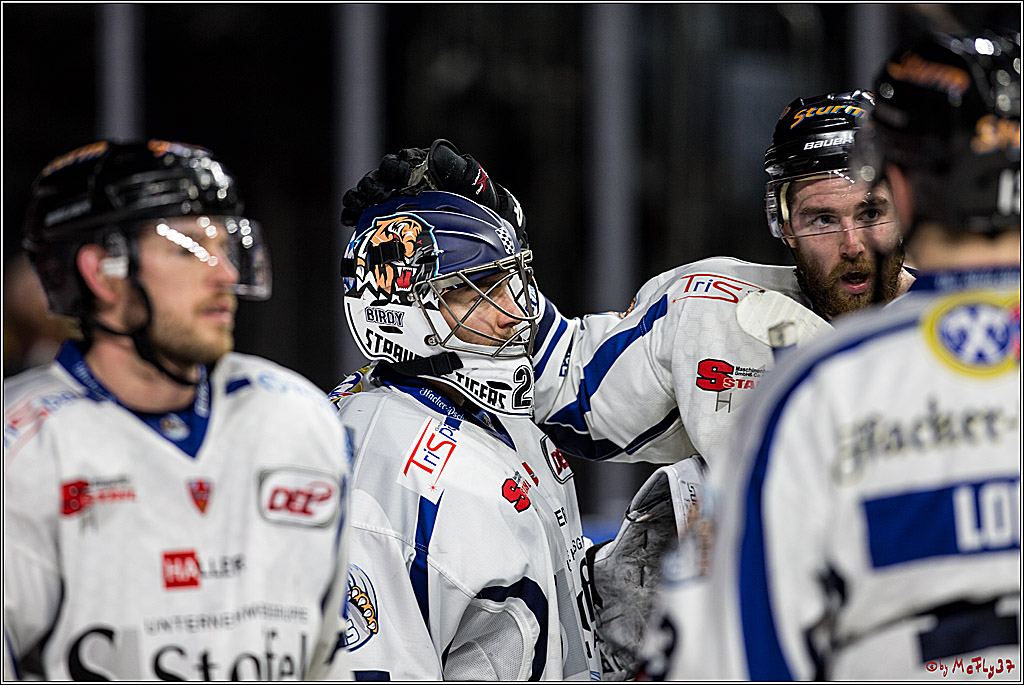 DEL, Koelner Haie - Straubing Tigers, 30.01.2018