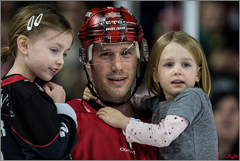 DEL, Koelner Haie - Straubing Tigers, 30.01.2018
