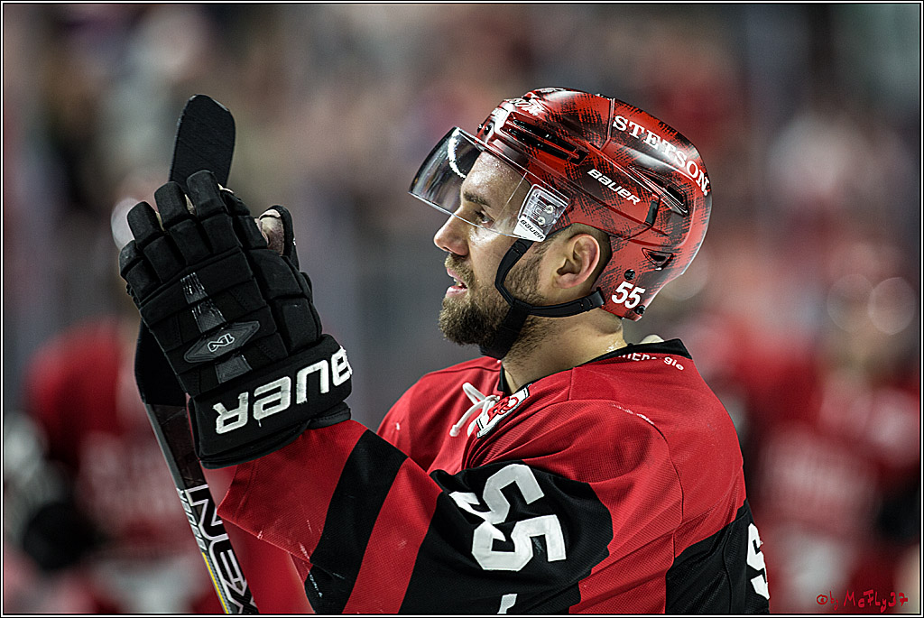 DEL, Koelner Haie - Straubing Tigers, 30.01.2018