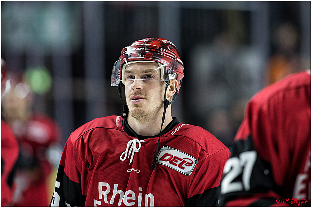 DEL, Koelner Haie - Straubing Tigers, 30.01.2018
