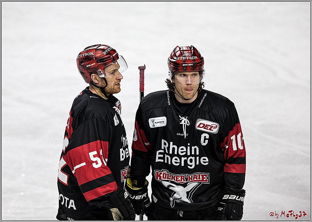 DEL-Playoff, Koelner Haie - Nuernberg Ice Tigers, 20.03.2018