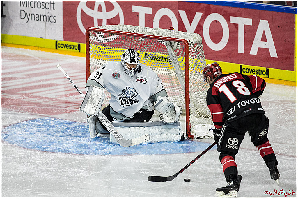 DEL-Playoff, Koelner Haie - Nuernberg Ice Tigers, 20.03.2018