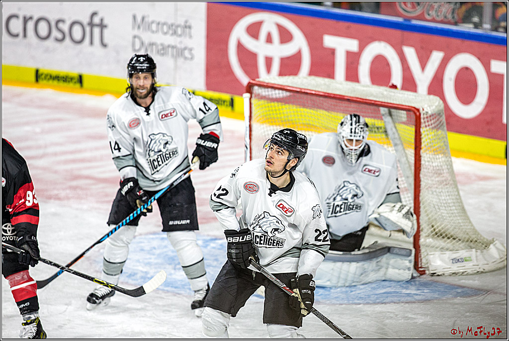 DEL-Playoff, Koelner Haie - Nuernberg Ice Tigers, 20.03.2018