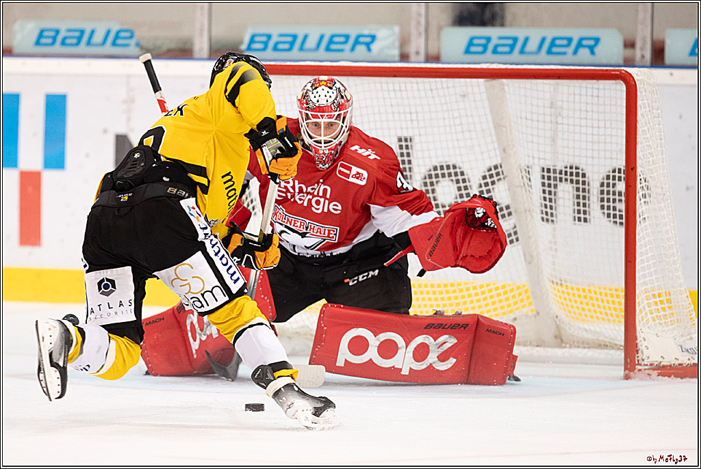 PENNY DEL Testspiel Koelner Haie - Rouen Dragons; Koeln, 18.08.2023