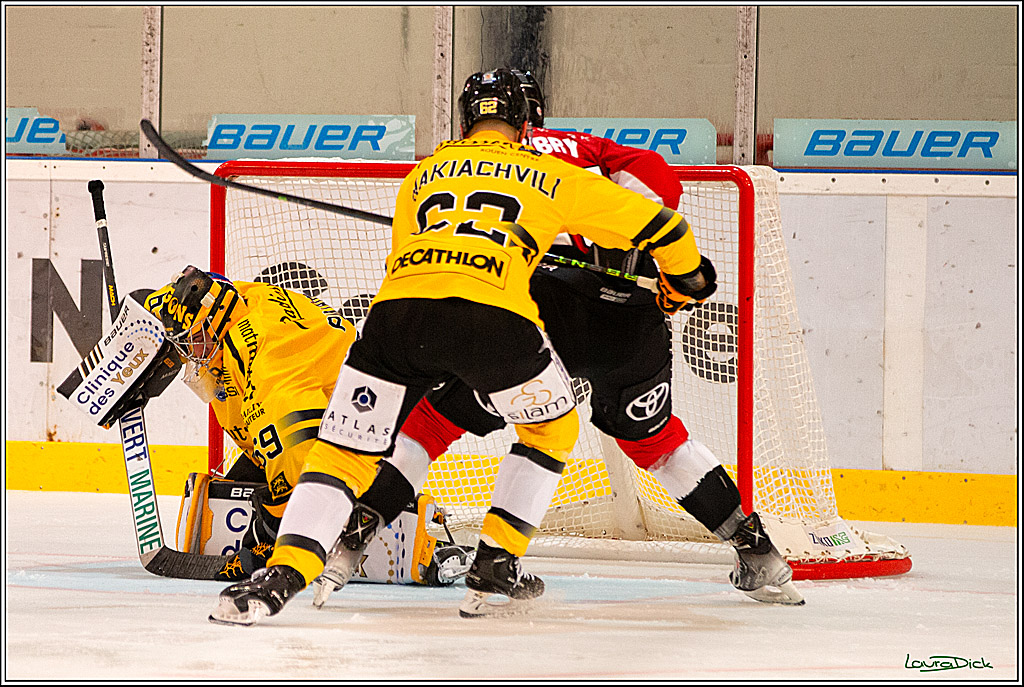 PENNY DEL; Testspiel Koelner Haie- Rouen Dragons; Koeln, 18.08.2023