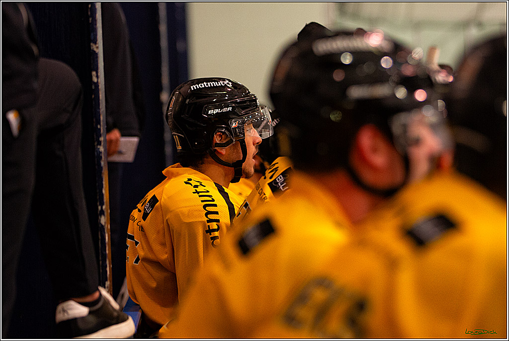 PENNY DEL; Testspiel Koelner Haie- Rouen Dragons; Koeln, 18.08.2023