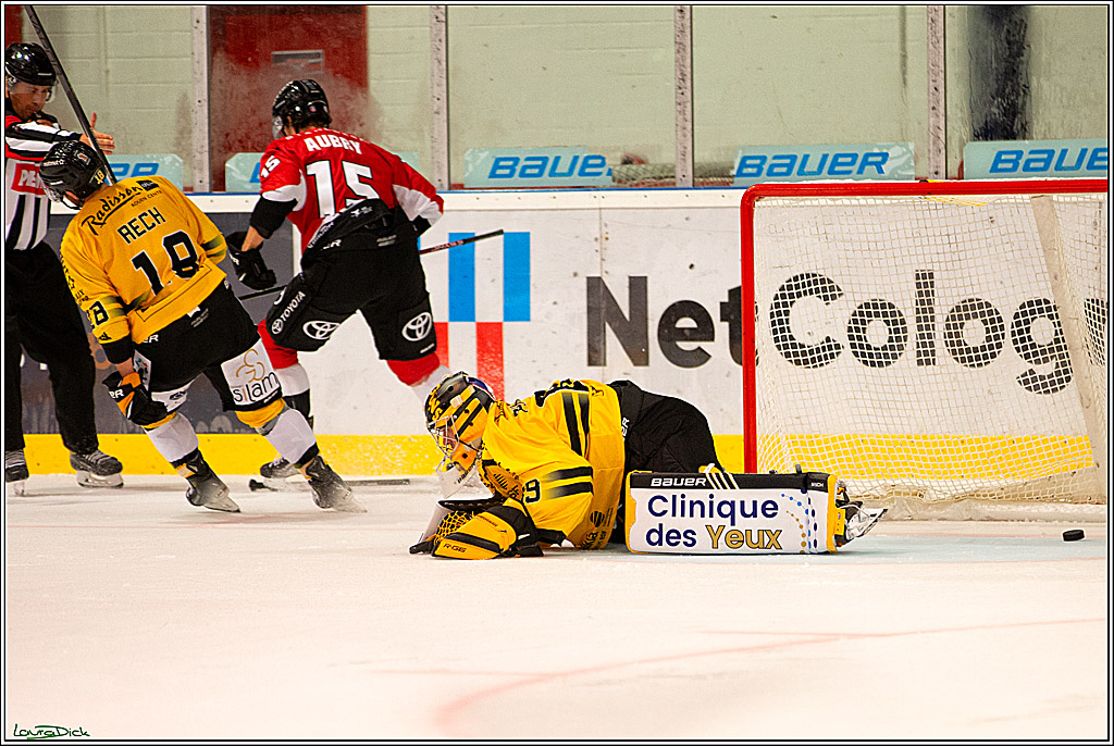 PENNY DEL; Testspiel Koelner Haie- Rouen Dragons; Koeln, 18.08.2023