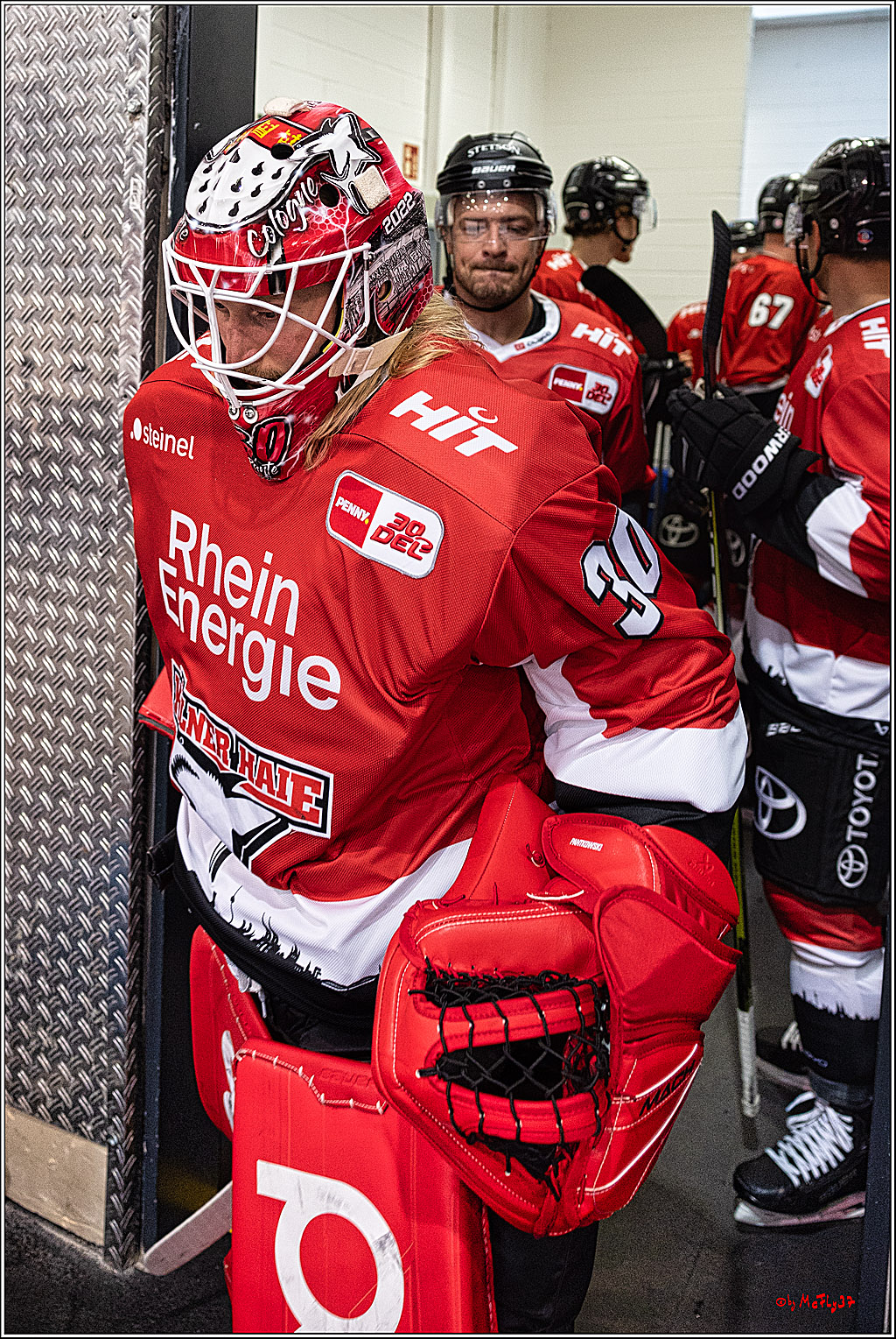 PENNY DEL 1. Testspiel Koelner Haie - SC Bern; Koeln, 25.08.2023