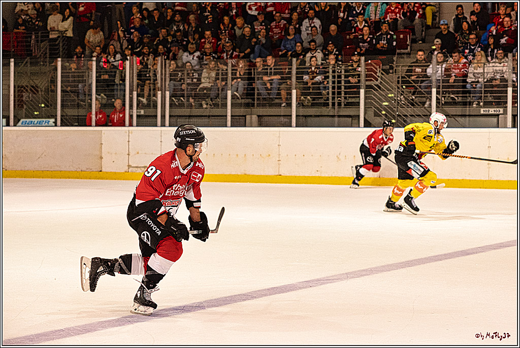 PENNY DEL 1. Testspiel Koelner Haie - SC Bern; Koeln, 25.08.2023