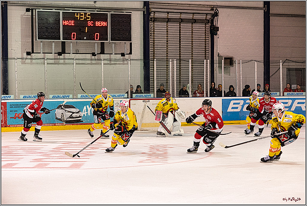 PENNY DEL 1. Testspiel Koelner Haie - SC Bern; Koeln, 25.08.2023