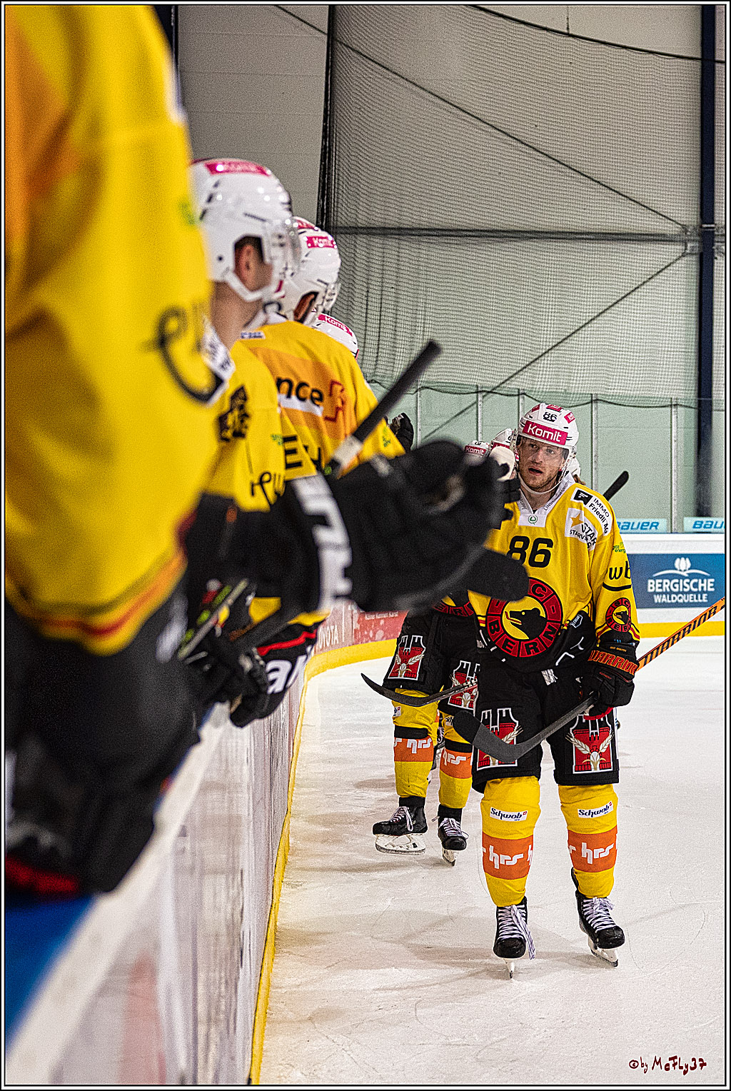 PENNY DEL 1. Testspiel Koelner Haie - SC Bern; Koeln, 25.08.2023