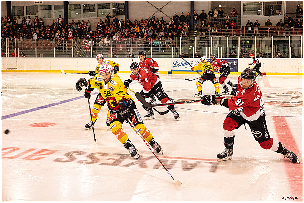 PENNY DEL 1. Testspiel Koelner Haie - SC Bern; Koeln, 25.08.2023