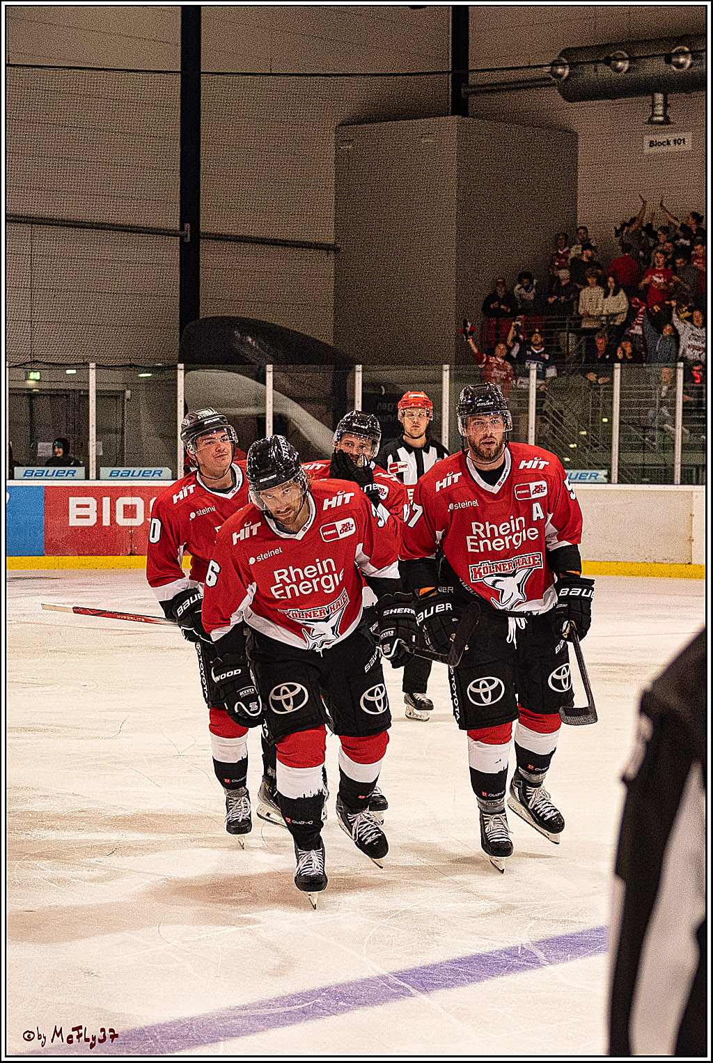 PENNY DEL 1. Testspiel Koelner Haie - SC Bern; Koeln, 25.08.2023