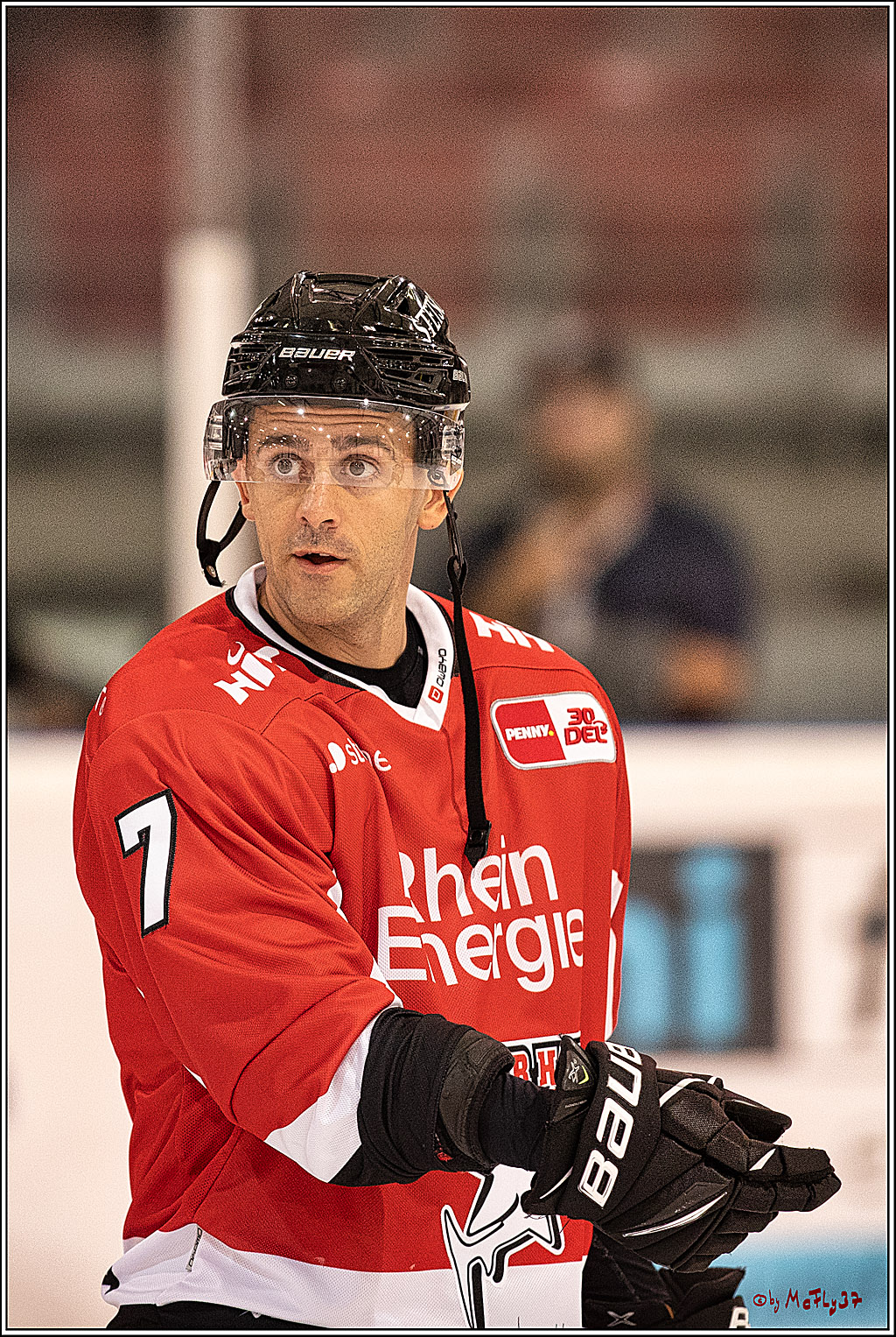 PENNY DEL 1. Testspiel Koelner Haie - SC Bern; Koeln, 25.08.2023