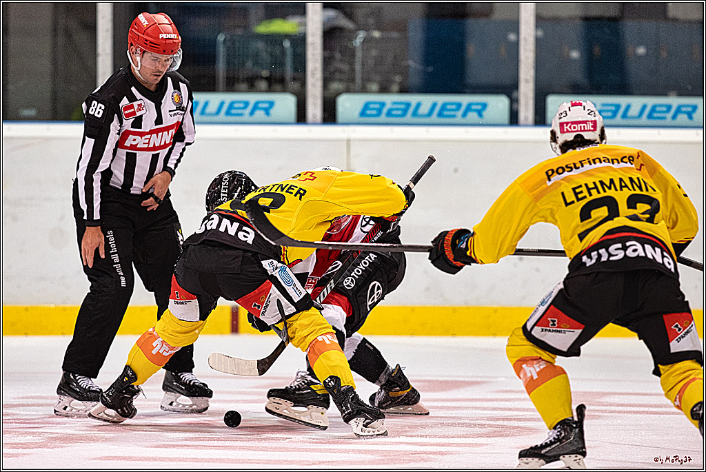 PENNY DEL 1. Testspiel Koelner Haie - SC Bern; Koeln, 25.08.2023