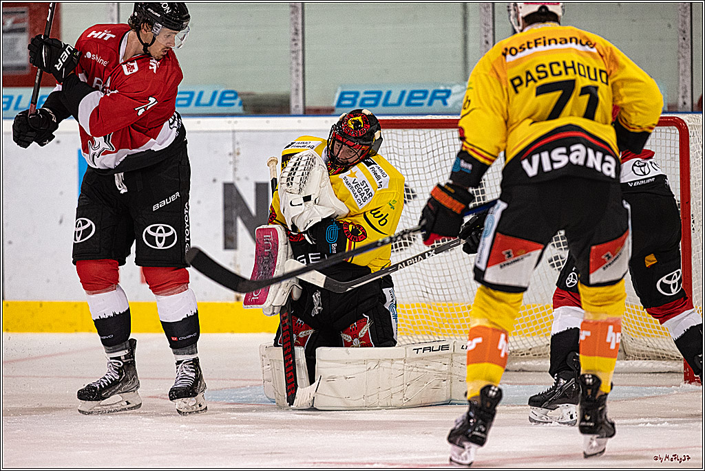 PENNY DEL 1. Testspiel Koelner Haie - SC Bern; Koeln, 25.08.2023