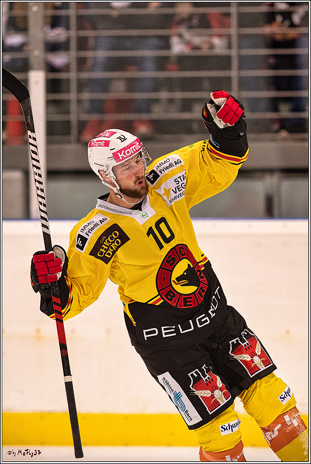 PENNY DEL 1. Testspiel Koelner Haie - SC Bern; Koeln, 25.08.2023