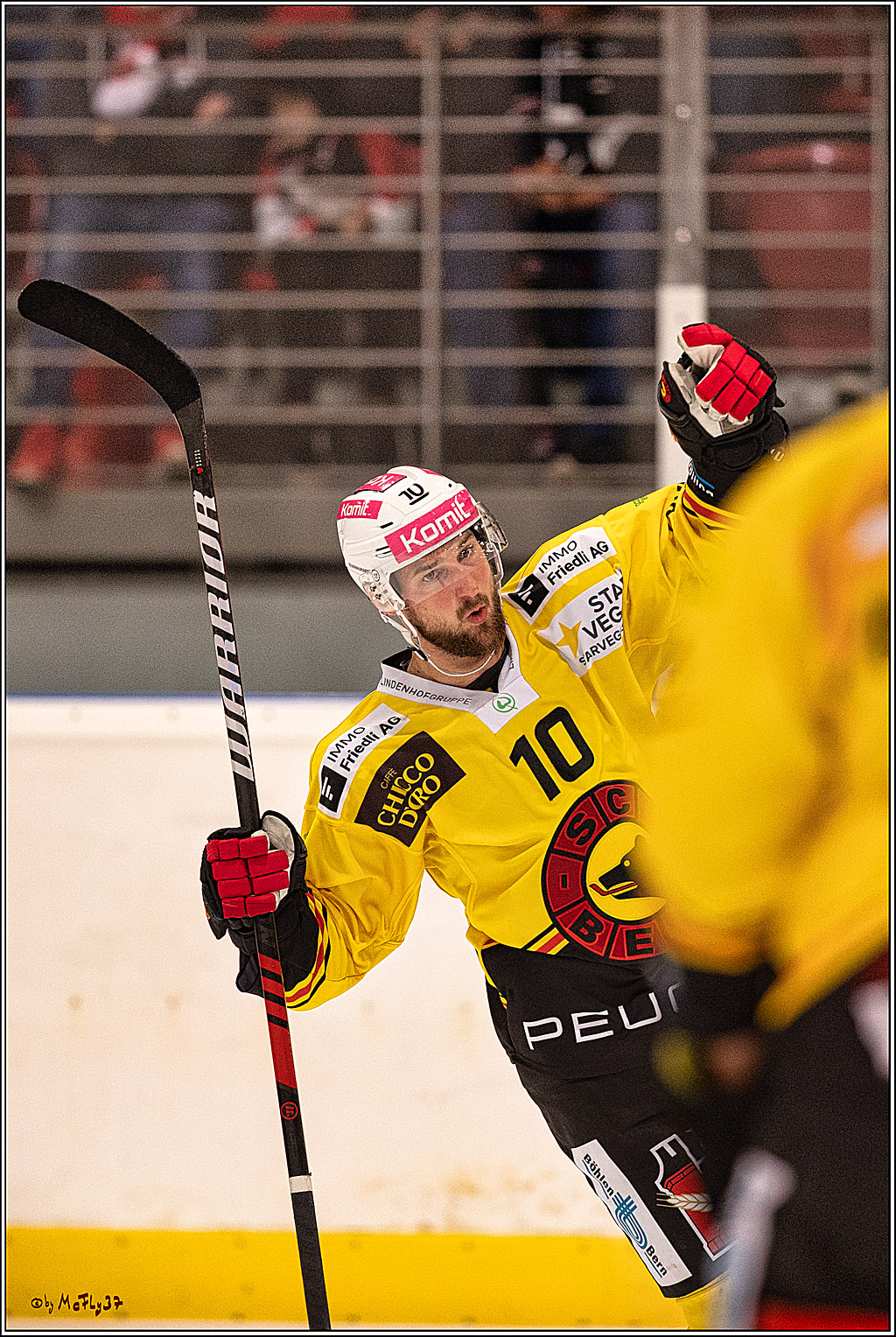 PENNY DEL 1. Testspiel Koelner Haie - SC Bern; Koeln, 25.08.2023