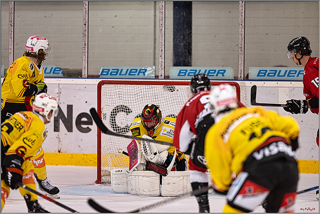 PENNY DEL 1. Testspiel Koelner Haie - SC Bern; Koeln, 25.08.2023