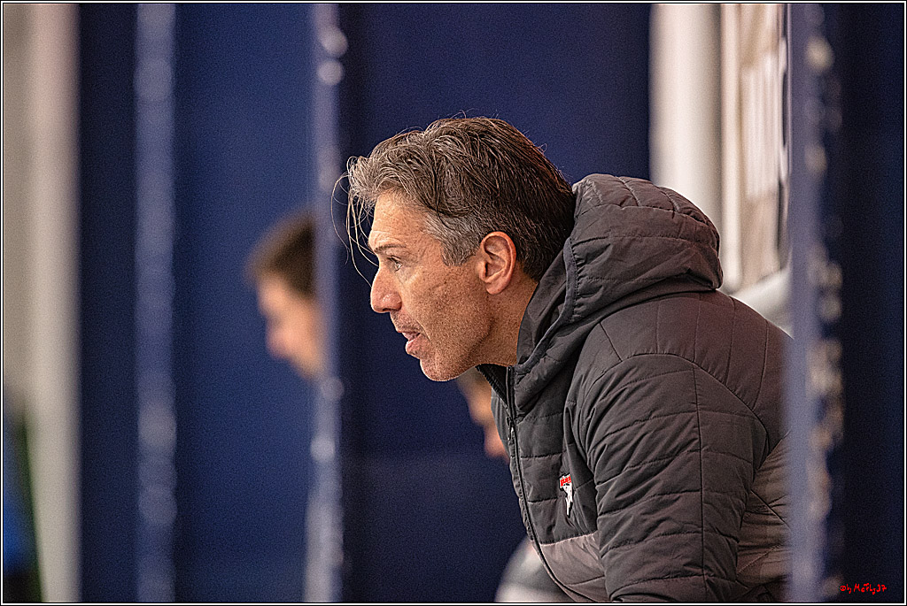 PENNY DEL 1. Testspiel Koelner Haie - SC Bern; Koeln, 25.08.2023