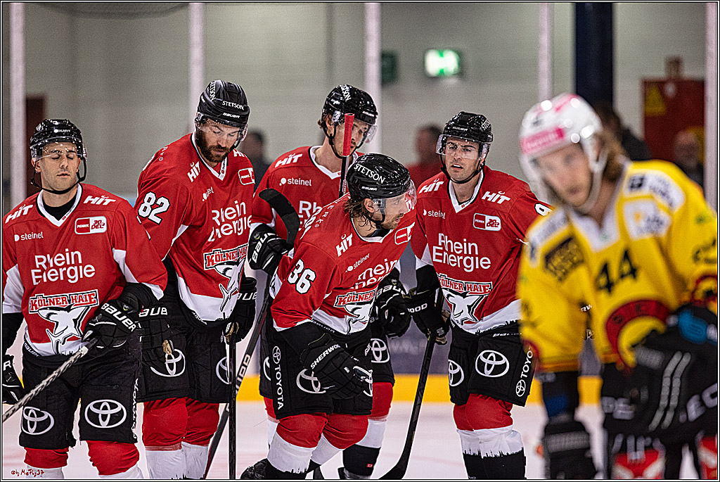 PENNY DEL 1. Testspiel Koelner Haie - SC Bern; Koeln, 25.08.2023