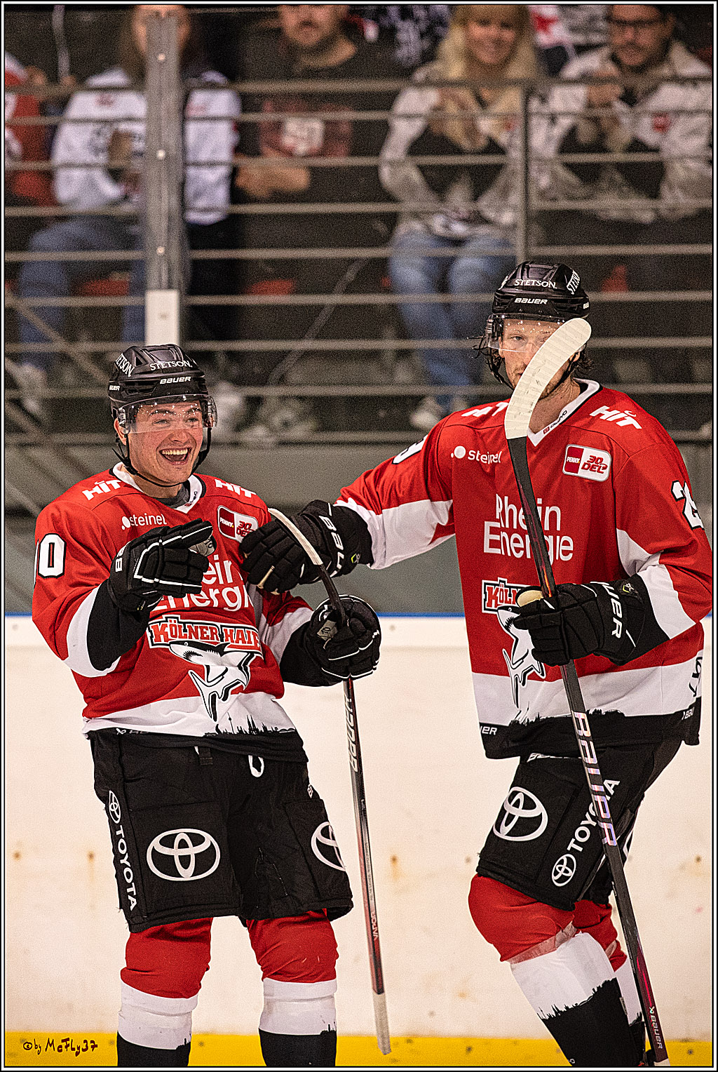 PENNY DEL 1. Testspiel Koelner Haie - SC Bern; Koeln, 25.08.2023