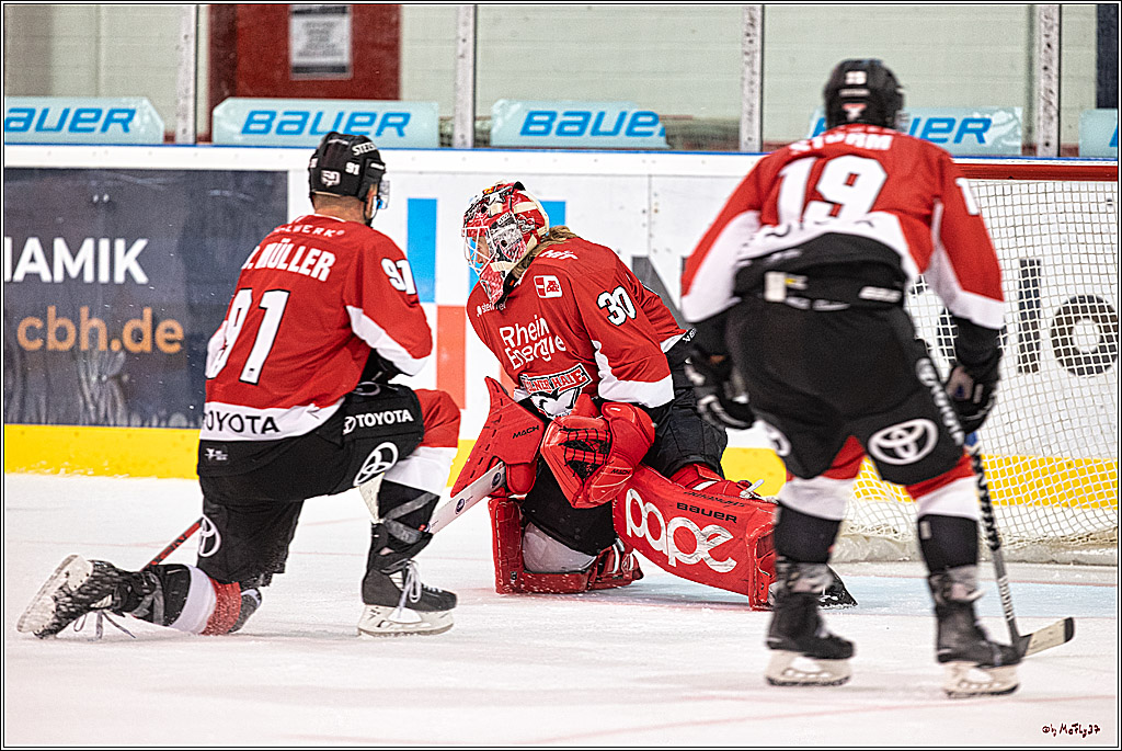 PENNY DEL 1. Testspiel Koelner Haie - SC Bern; Koeln, 25.08.2023