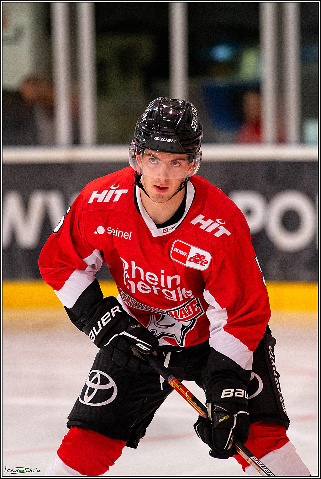 PENNY DEL; Testspiel Koelner Haie- SC Bern; Koeln, 25.08.2023