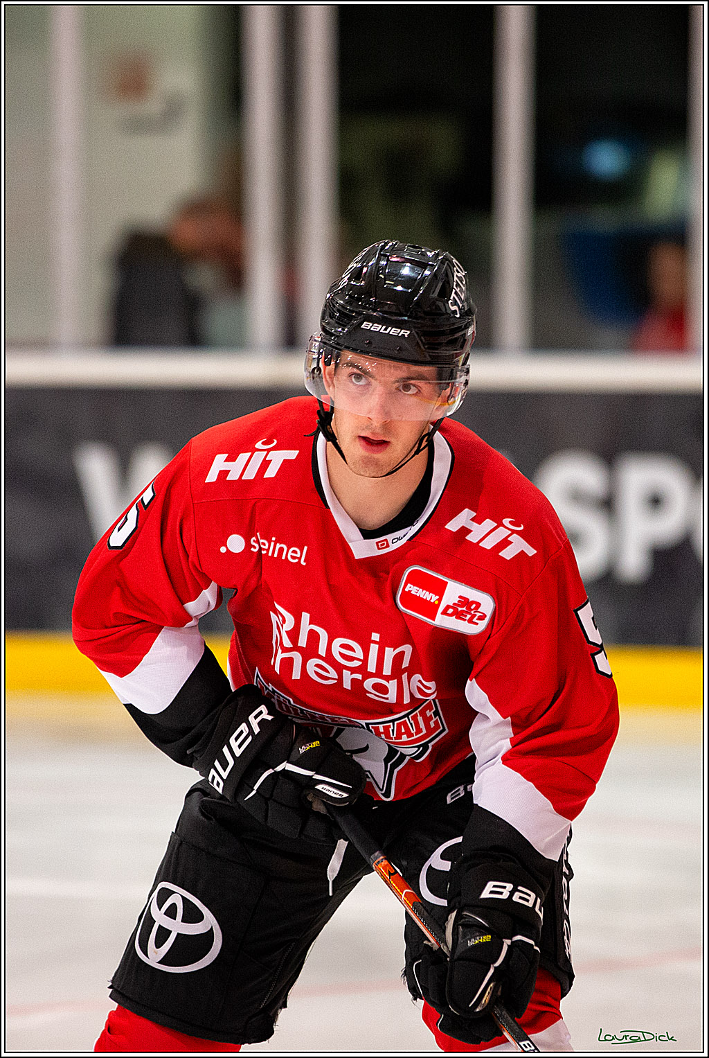 PENNY DEL; Testspiel Koelner Haie- SC Bern; Koeln, 25.08.2023