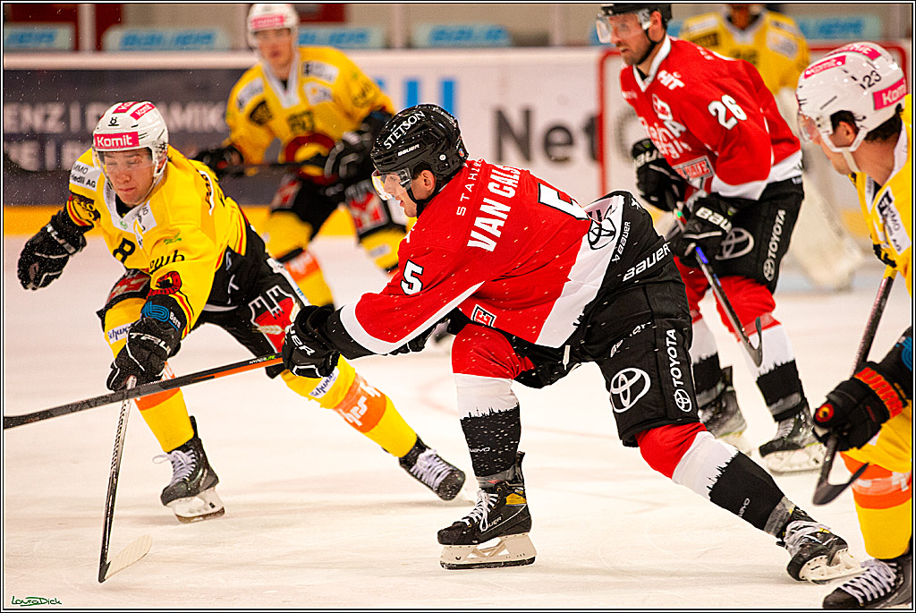 PENNY DEL; Testspiel Koelner Haie- SC Bern; Koeln, 25.08.2023