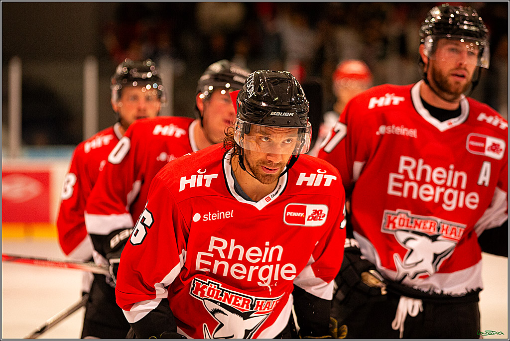 PENNY DEL; Testspiel Koelner Haie- SC Bern; Koeln, 25.08.2023