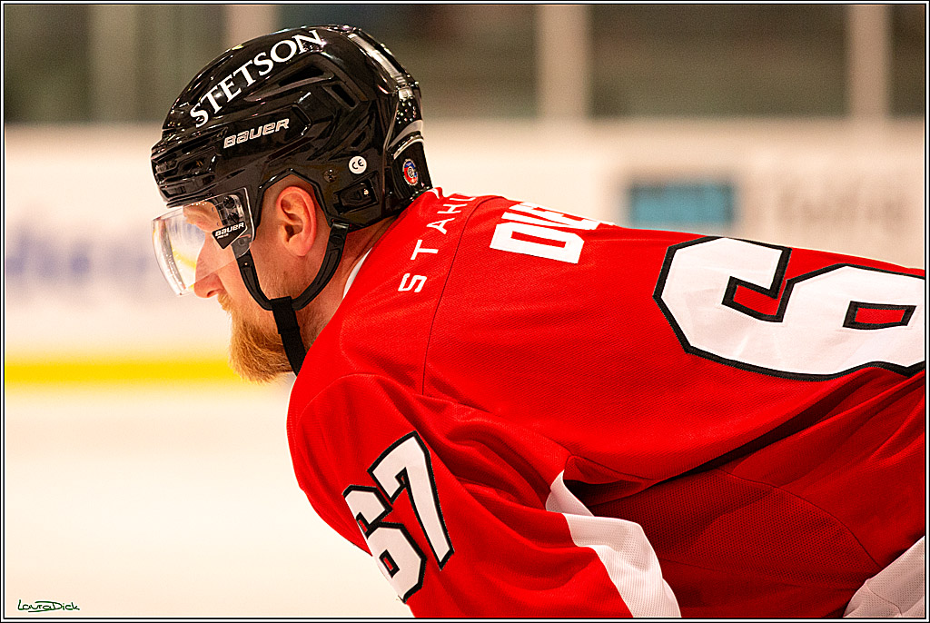 PENNY DEL; Testspiel Koelner Haie- SC Bern; Koeln, 25.08.2023