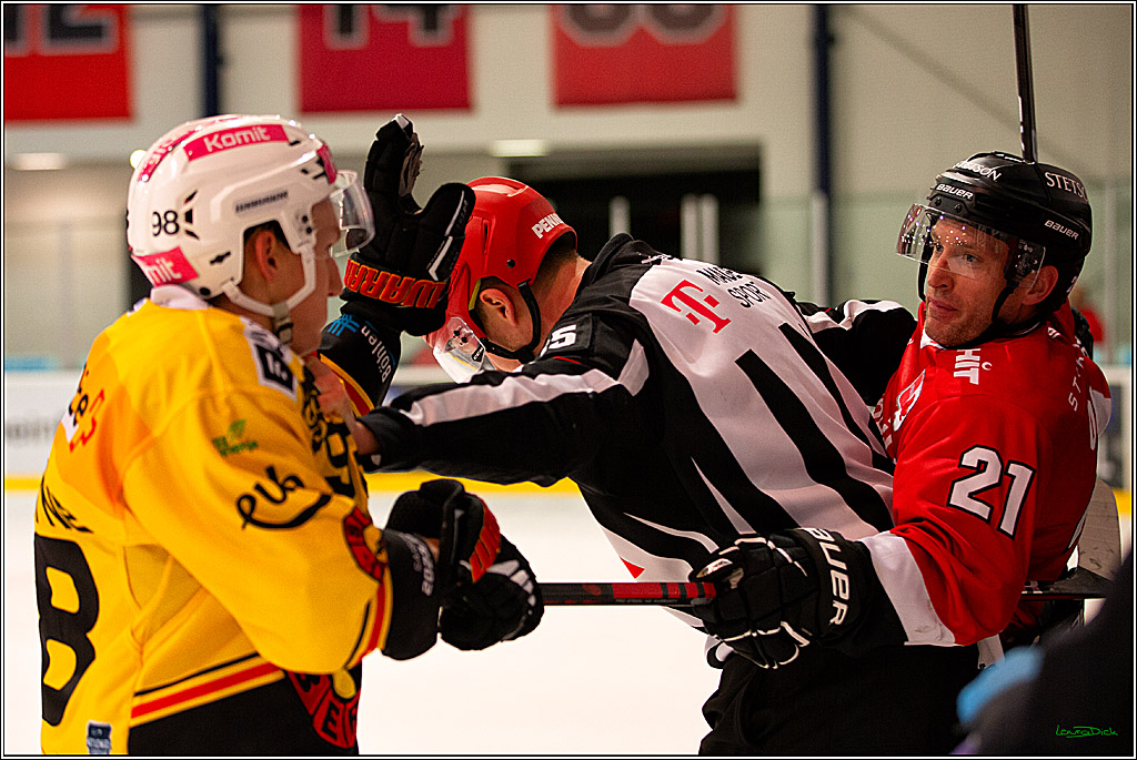 PENNY DEL; Testspiel Koelner Haie- SC Bern; Koeln, 25.08.2023