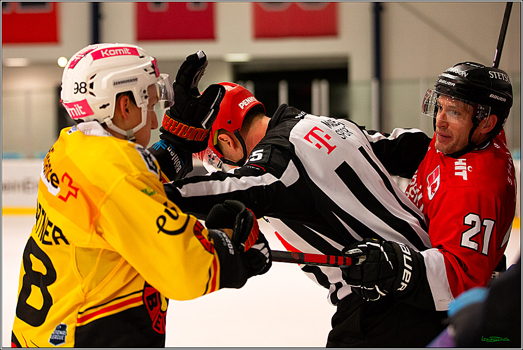 PENNY DEL; Testspiel Koelner Haie- SC Bern; Koeln, 25.08.2023