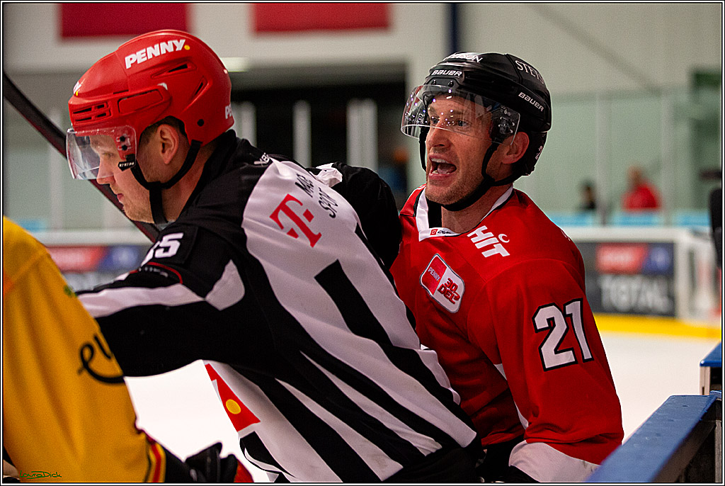 PENNY DEL; Testspiel Koelner Haie- SC Bern; Koeln, 25.08.2023