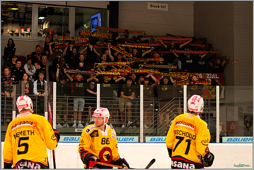 PENNY DEL; Testspiel Koelner Haie- SC Bern; Koeln, 25.08.2023