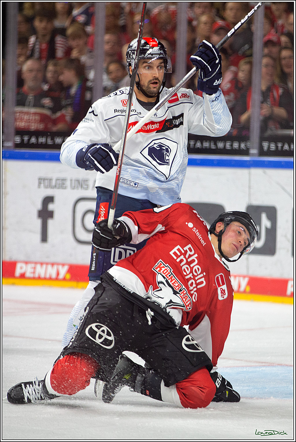 PENNY DEL; Koelner Haie- ERC Ingolstadt; Koeln, 17.09.2023