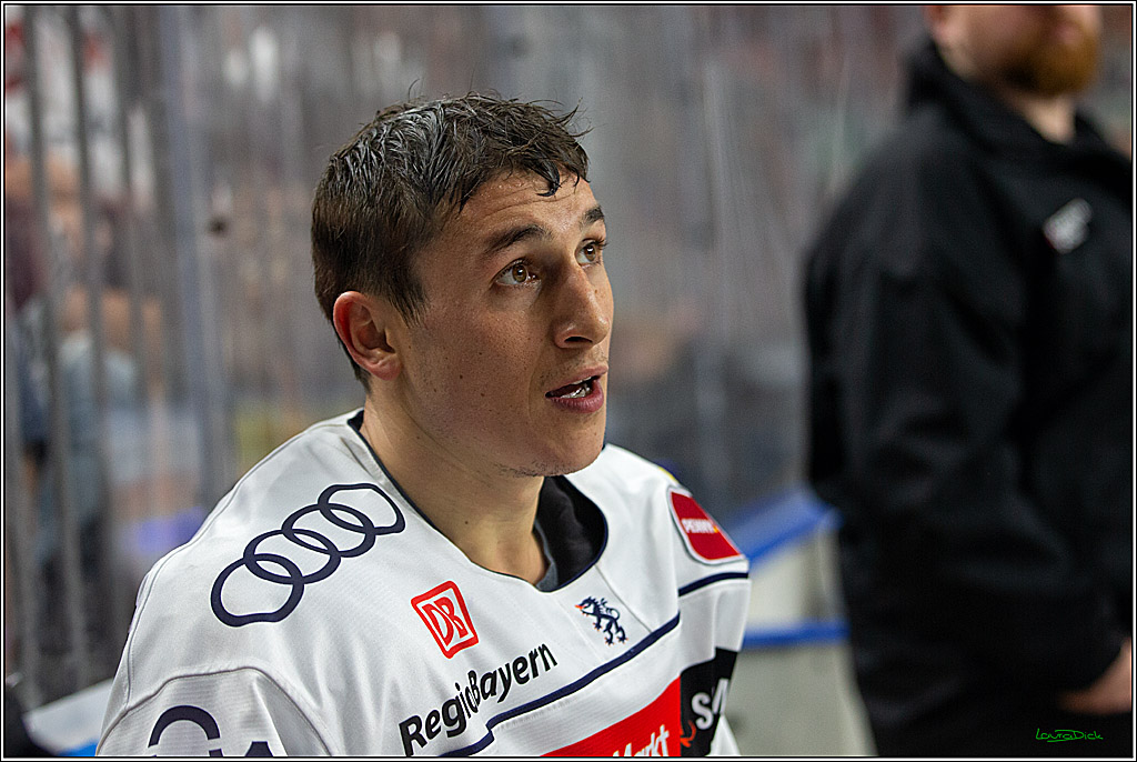 PENNY DEL; Koelner Haie- ERC Ingolstadt; Koeln, 17.09.2023